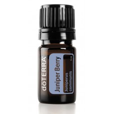 Juniper Berry 100% Pure Oil -  5 ml